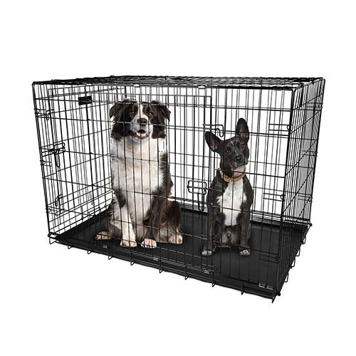 48 Inch Folding Metal Pet Cage with Tray C36418