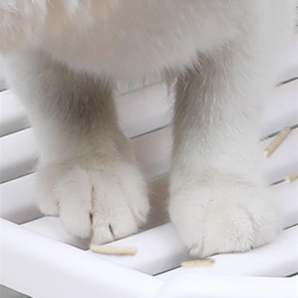 Enclosed Top-Entry Cat Litter Box with Scoop T93103