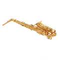 E Flat Alto Saxophone Set E5678