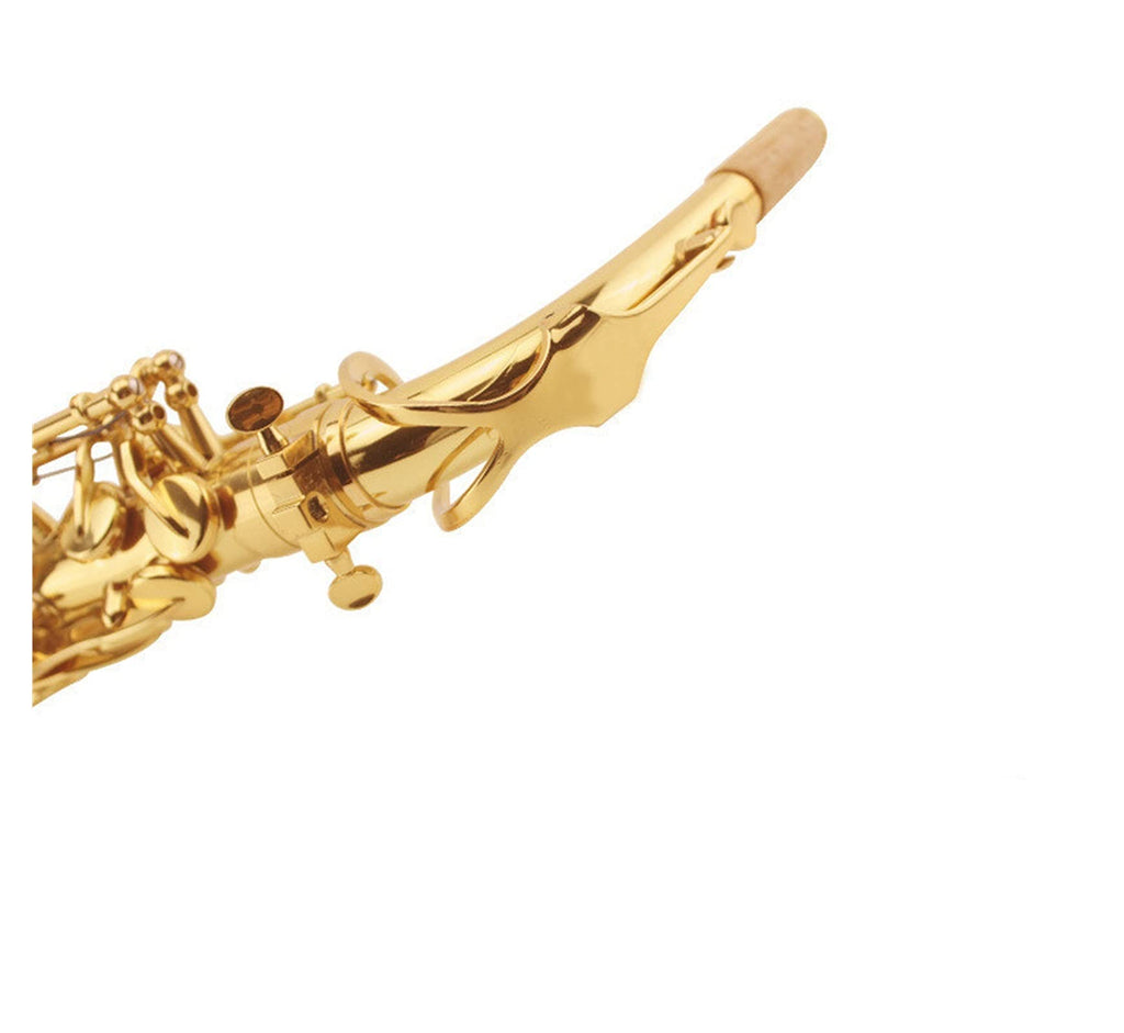 E Flat Alto Saxophone Set E5678