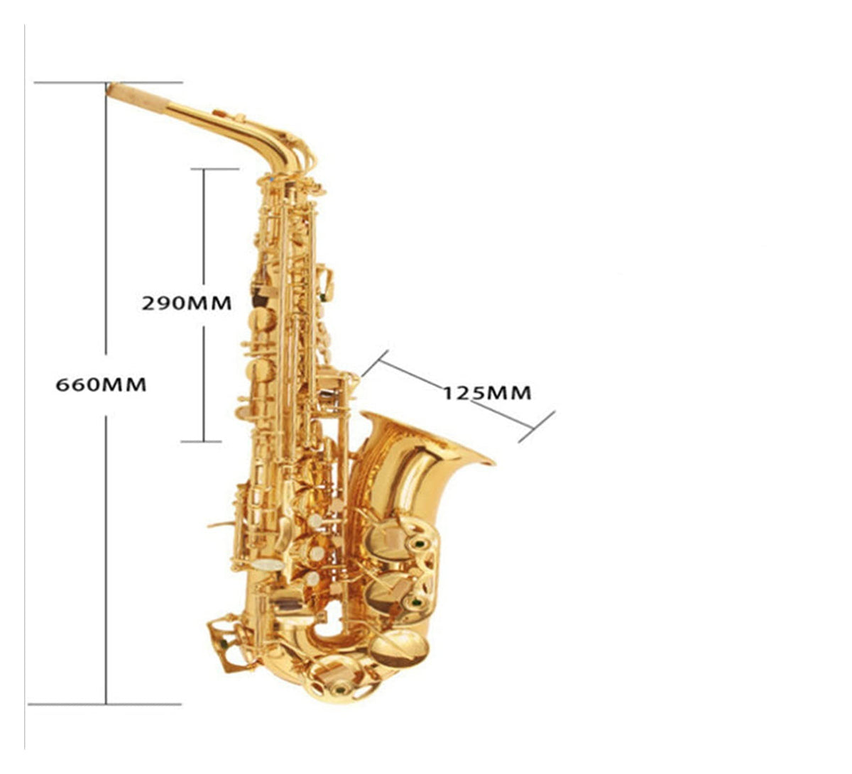 E Flat Alto Saxophone Set E5678