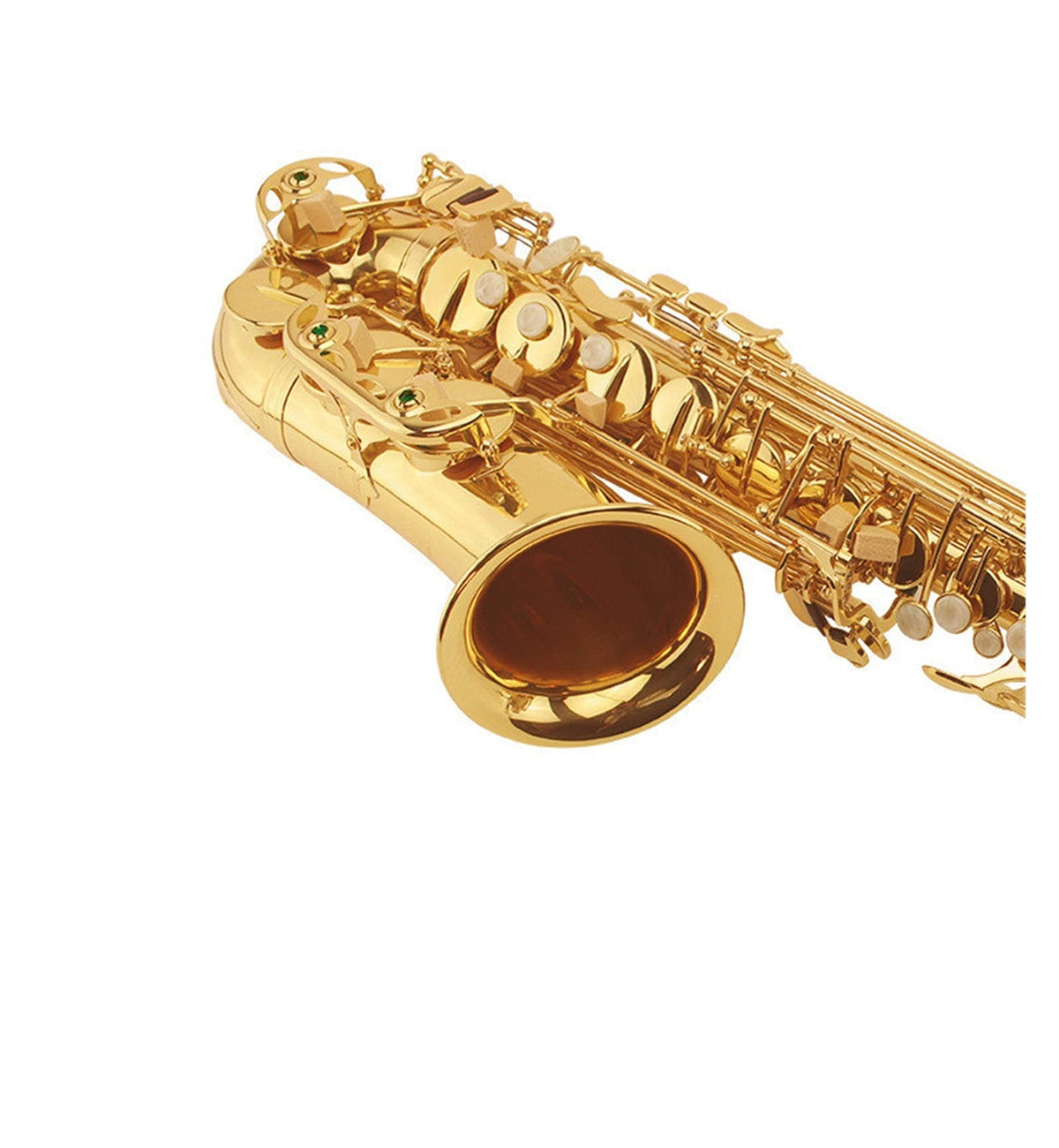 E Flat Alto Saxophone Set E5678