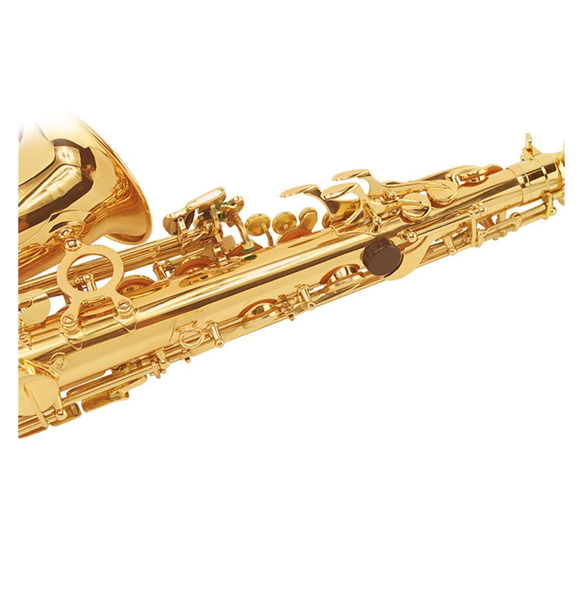 E Flat Alto Saxophone Set E5678