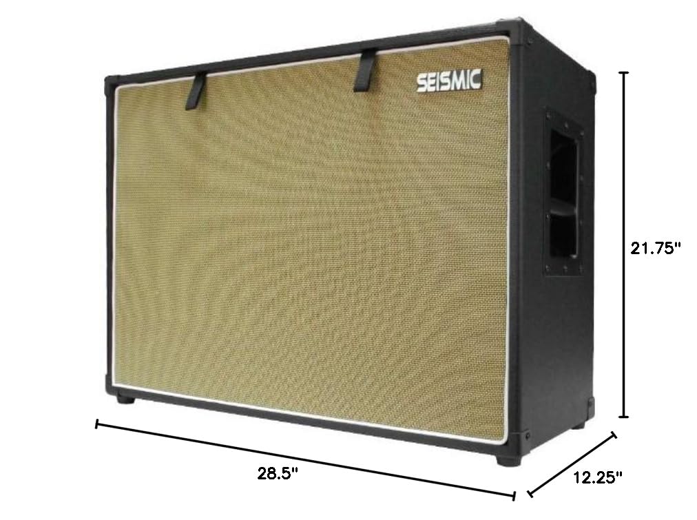 2x12 Birch Guitar Speaker Cabinet Q365942