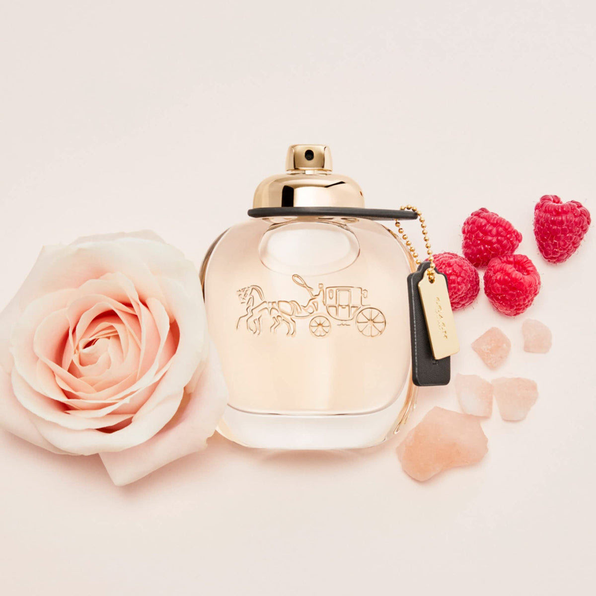Eau de Parfum Floral Fruity Y686