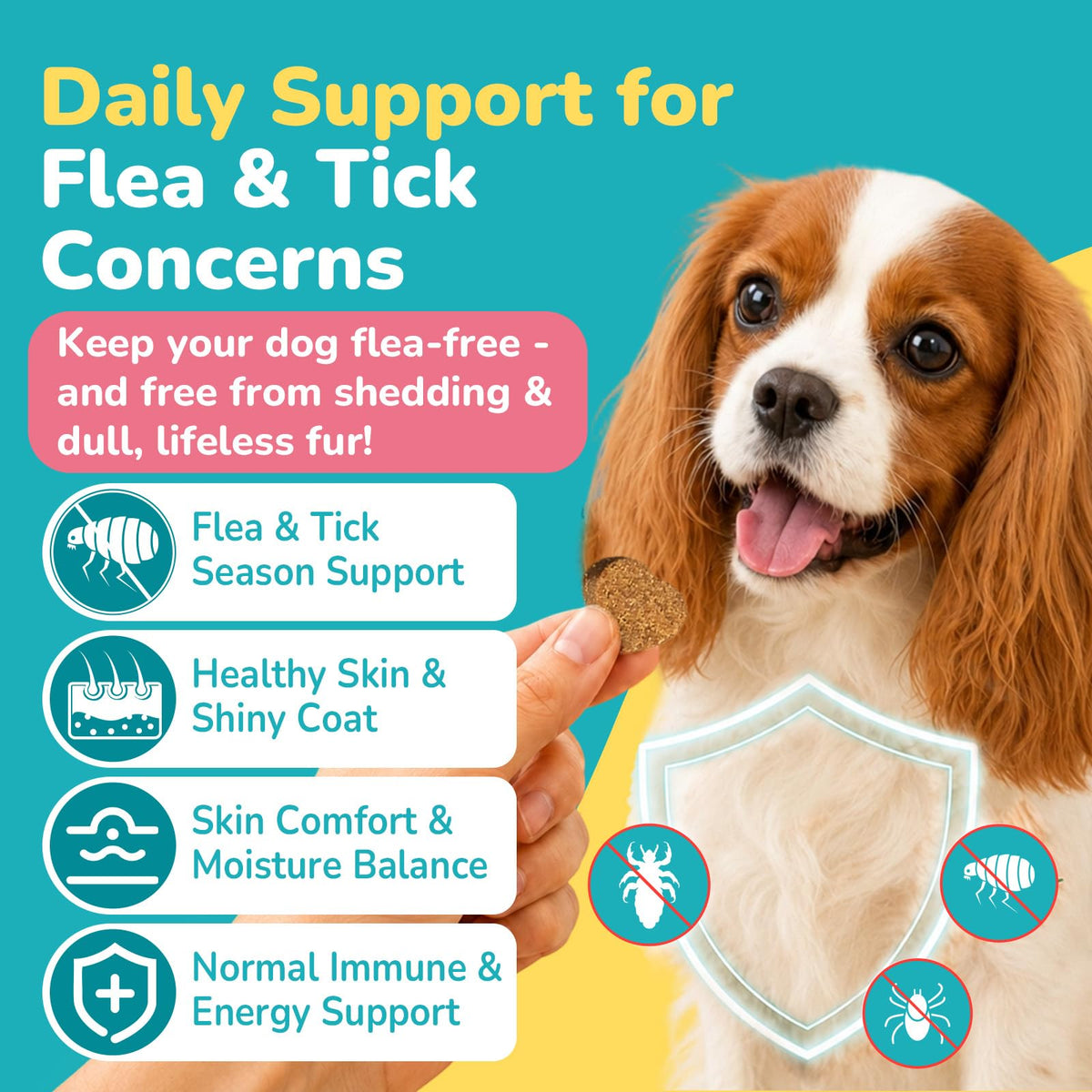 Soft Chews Chicken Flavor Flea and Tick Prevention for Dogs Y407070