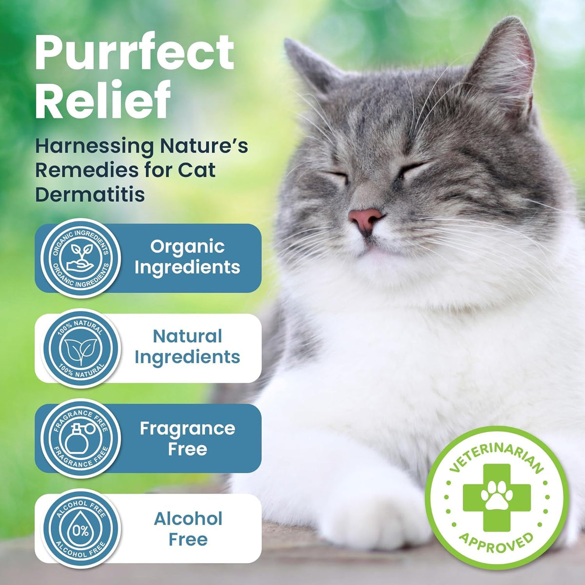 Cat Paw Balm Cat Cream 2 oz U363719
