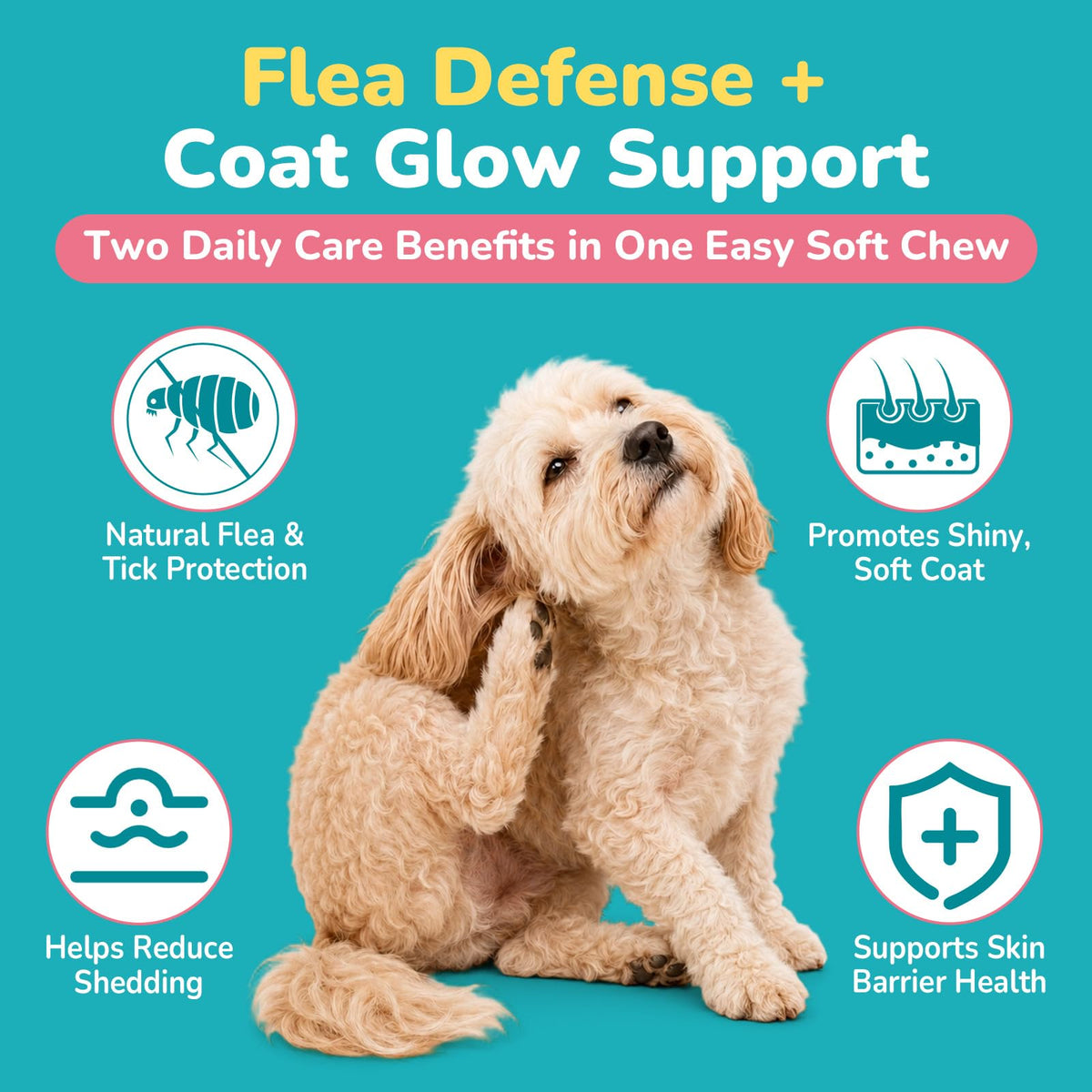 Soft Chews Chicken Flavor Flea and Tick Prevention for Dogs Y407070