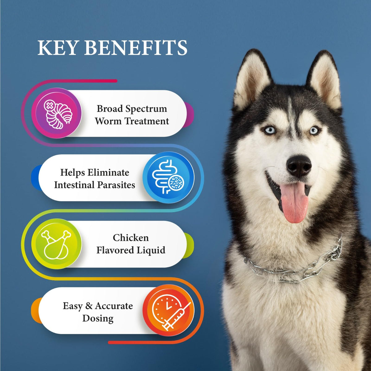 Broad Spectrum Dog Dewormer Treatment 120ml Banana Flavour W204
