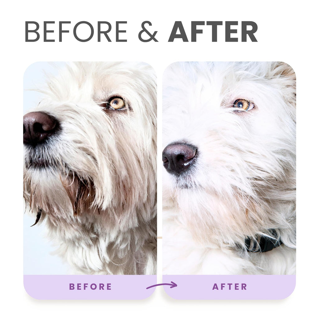 Brightening Dog Shampoo with Aloe & Provitamin B5 16oz R797766