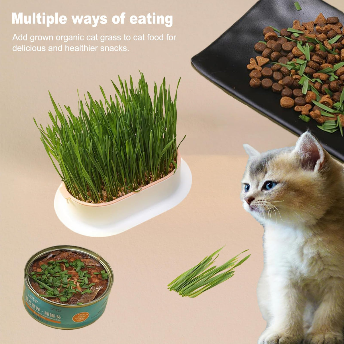 3Pcs Plastic Cat Grass Planter Hydroponic Growing Kit D6381