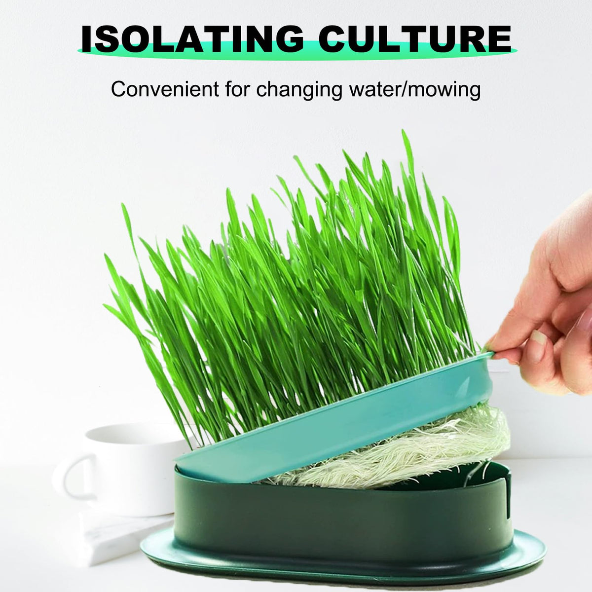 3Pcs Plastic Cat Grass Planter Hydroponic Growing Kit D6381