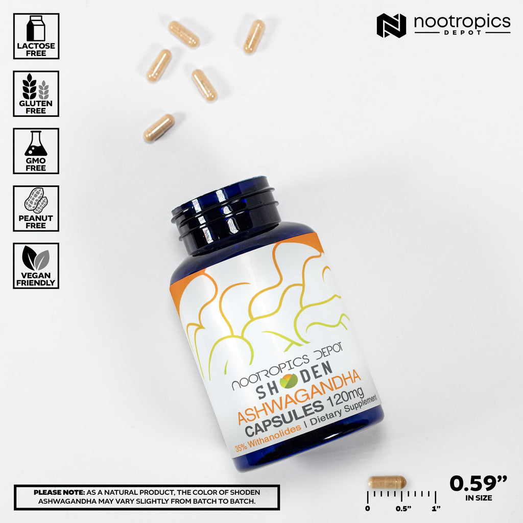 Ashwagandha Extract Capsules 120mg 30 Count K9042