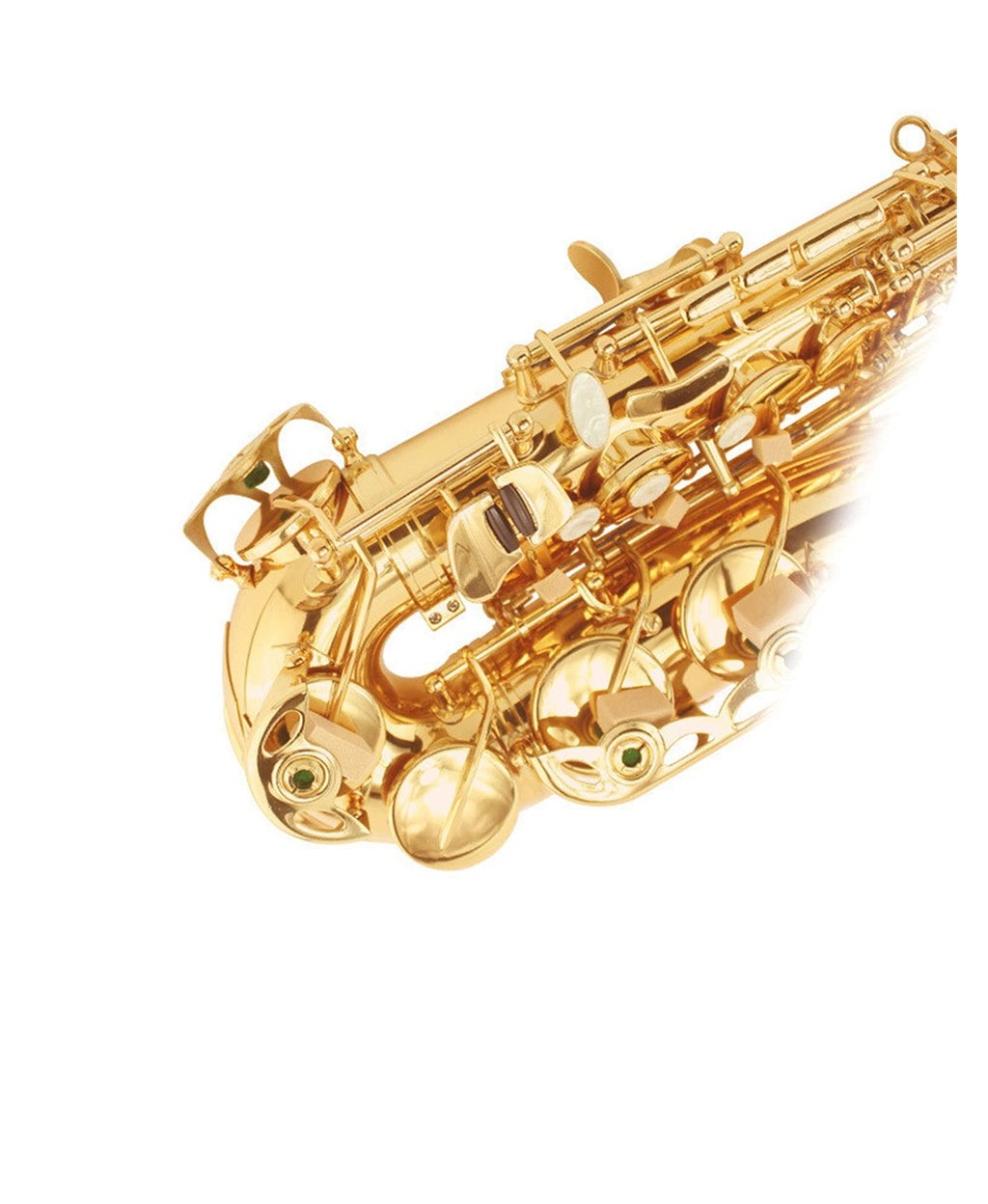 E Flat Alto Saxophone Set E5678