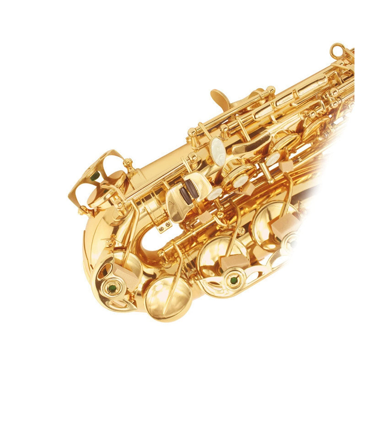 E Flat Alto Saxophone Set E5678
