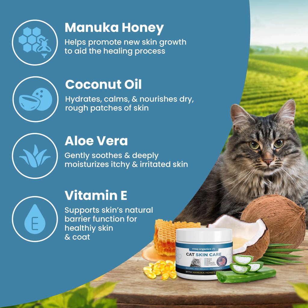 Cat Paw Balm Cat Cream 2 oz U363719