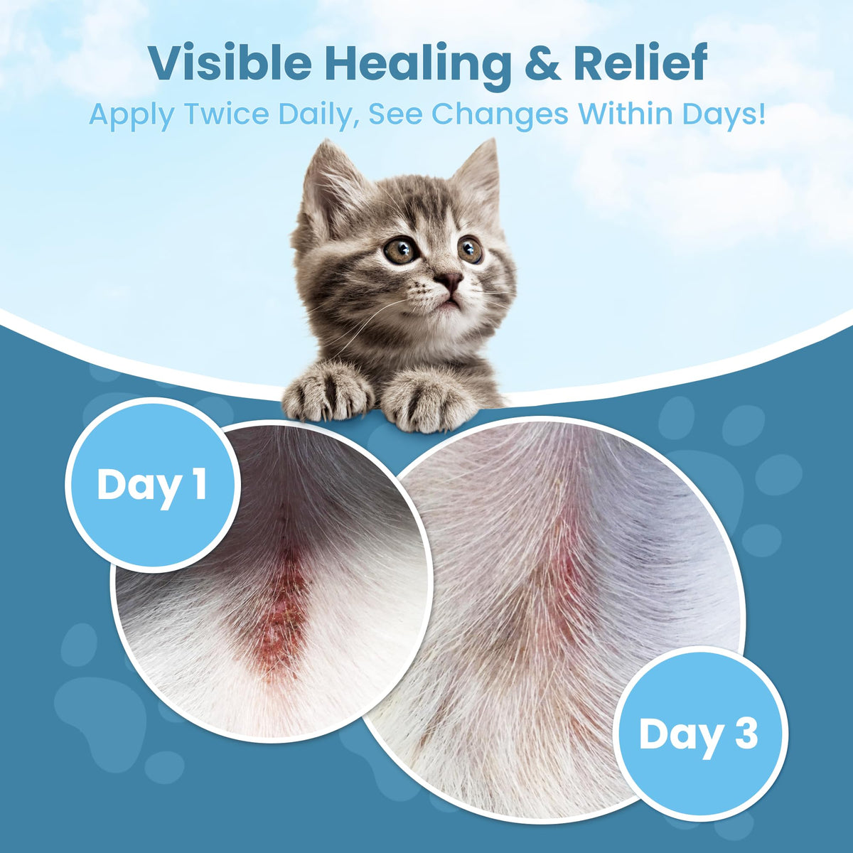 Cat Paw Balm Cat Cream 2 oz U363719