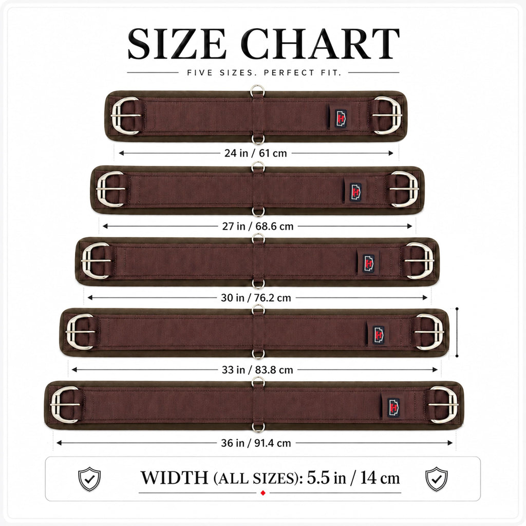 Western Horse Cinch with Stainless Steel Buckles V887