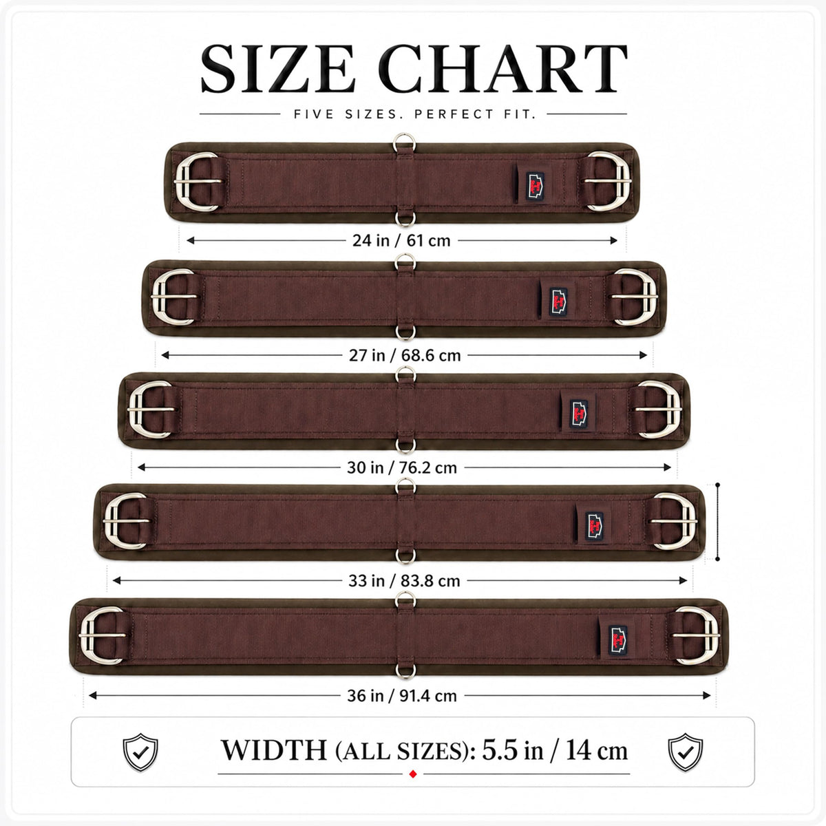 Western Horse Cinch with Stainless Steel Buckles V887
