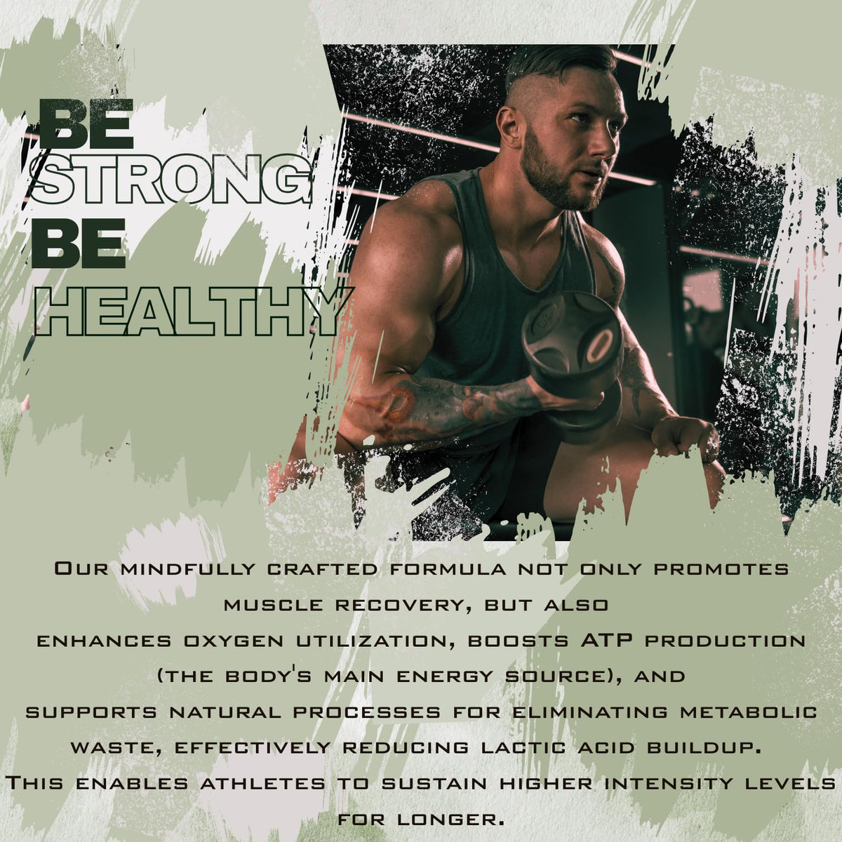 Organic Mushroom Complex Nootropic B54468