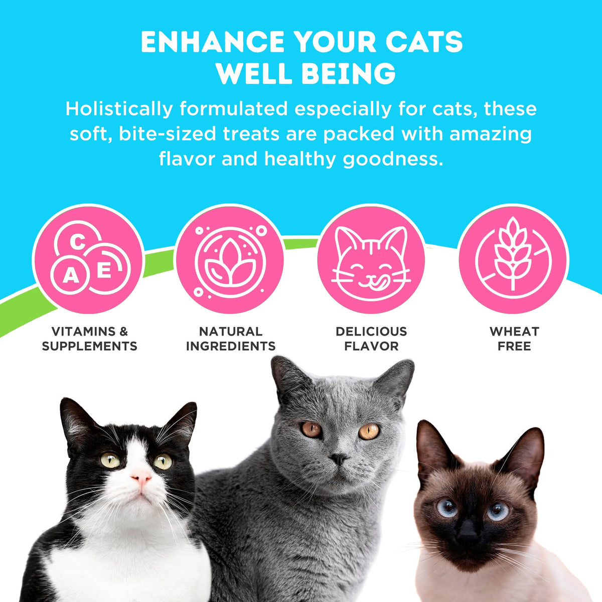 Chicken and Liver Flavor Soft Chews for Cats 60 Count A80468