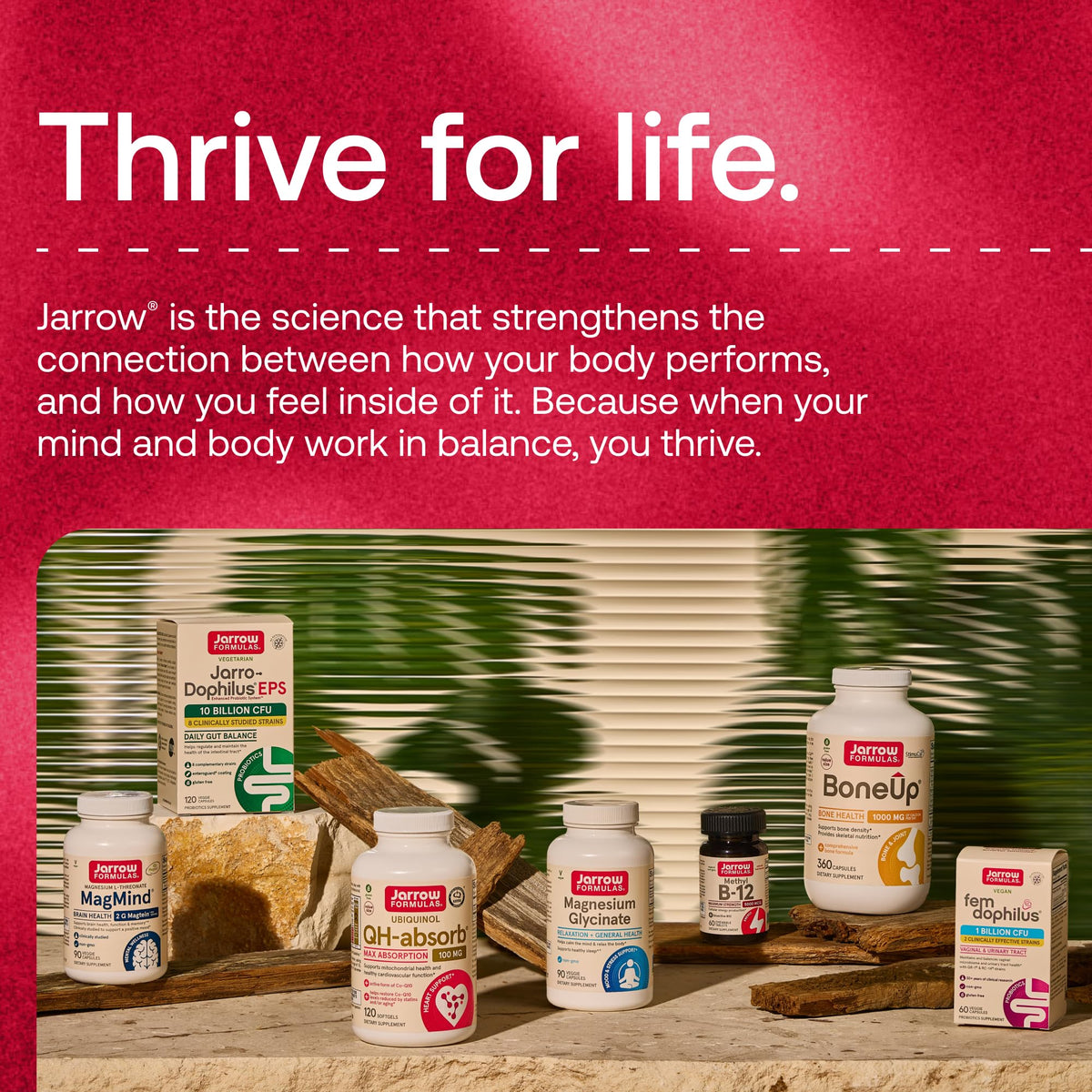 Milk Thistle 150mg 200 Capsules N918